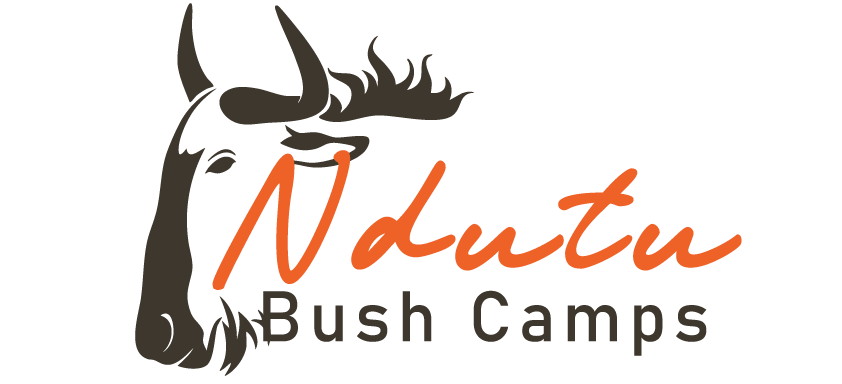 Ndutu Bush Camp – Experience comfort in the wild with luxury en-suite tents, solar power, and private verandas overlooking the Serengeti. Relax after your safari and enjoy the beauty of nature all around you.